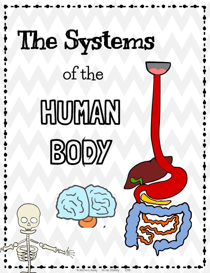 Cover of The Systems of the Human Body bundle